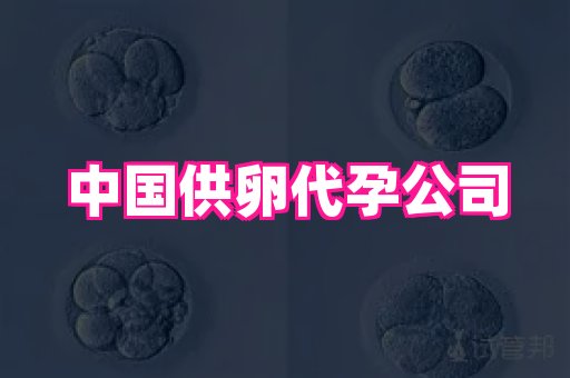 权威助孕网 3